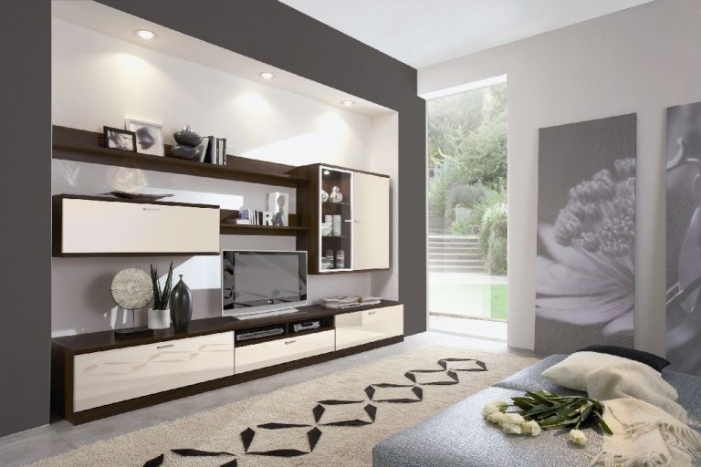 Gray living room designs 2016/2017