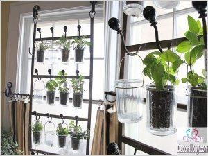 Indoor Herb Garden window