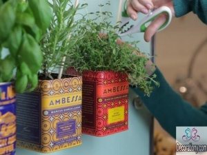 Plant indoor herb garden using stylish old tea jars & attaching them with magnets on the fridge 