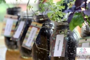 Planting your indoor herb garden into inexpensive mason jars 