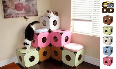 super cute cat cardboard furniture projects