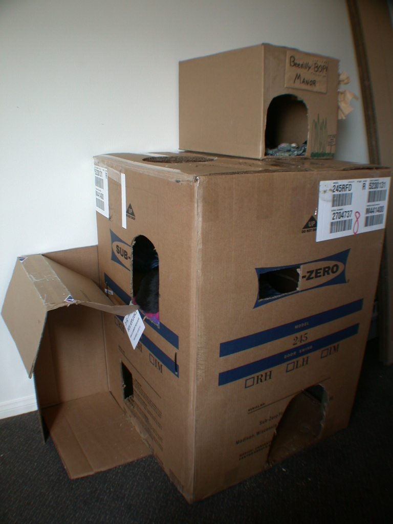 diy cat house furniture cardboard