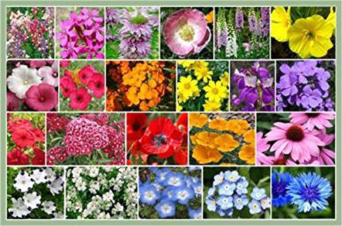 more about flower bed ideas