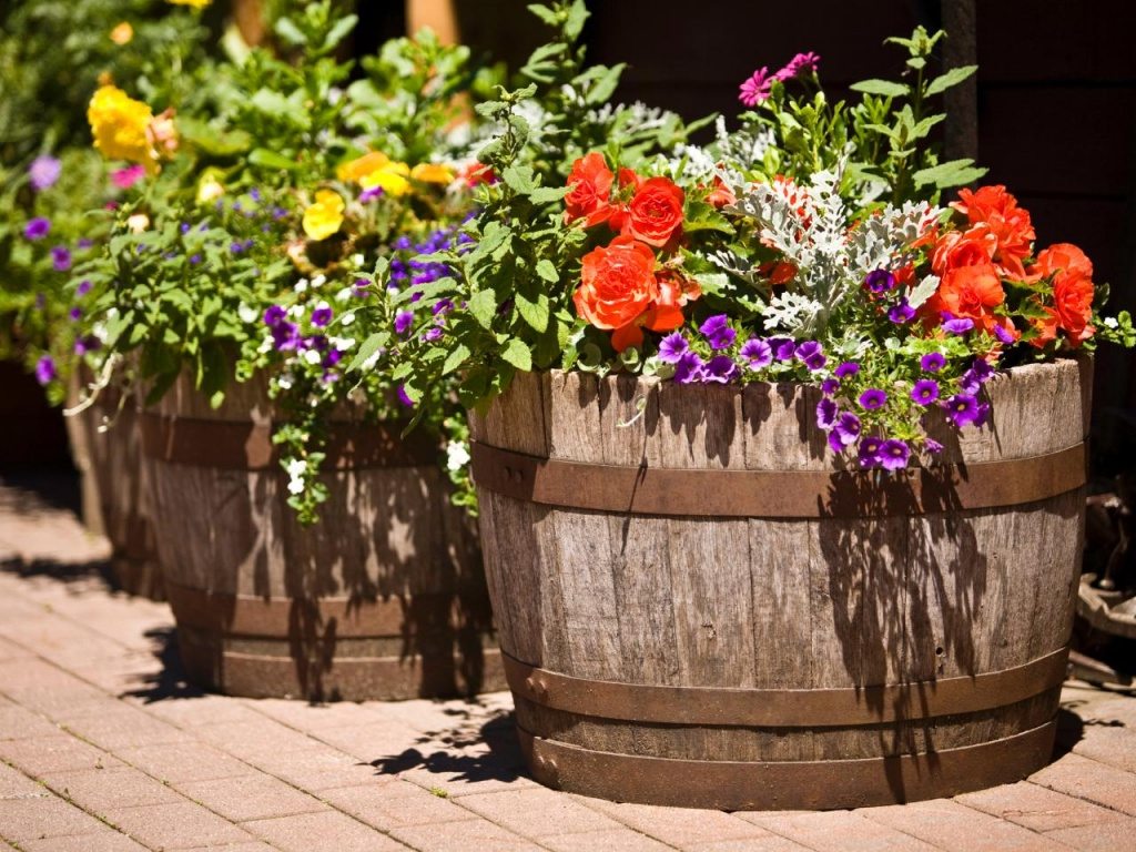 all about flower pot ideas