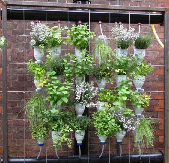 new amazing flower pot ideas