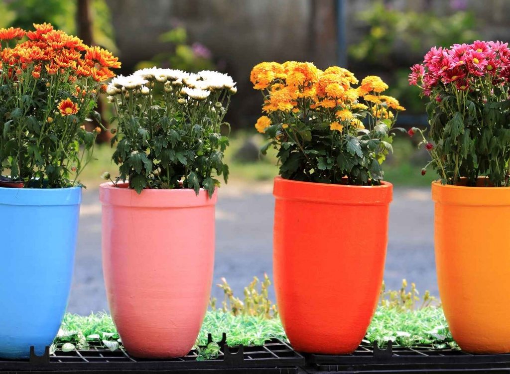 best of flower pot ideas