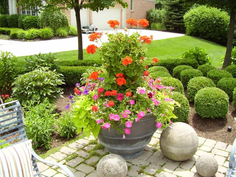 all new flower pot ideas