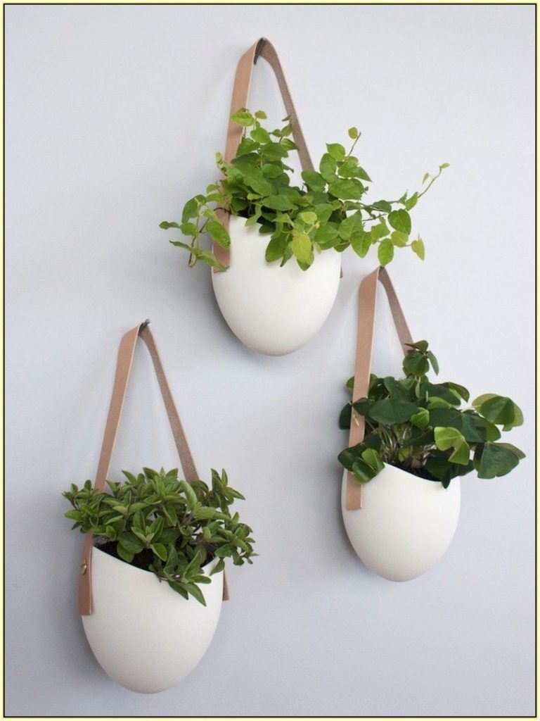 the top flower pot ideas