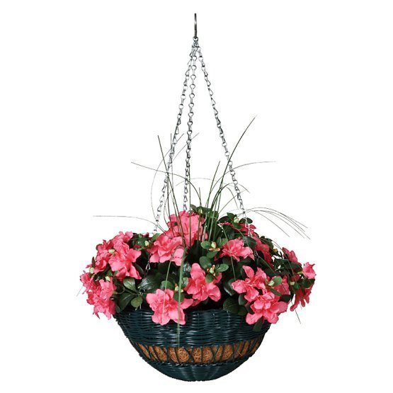 the top flower pot ideas