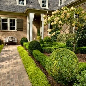 cool front yard design