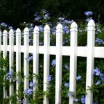 white picket fence with blue flowers