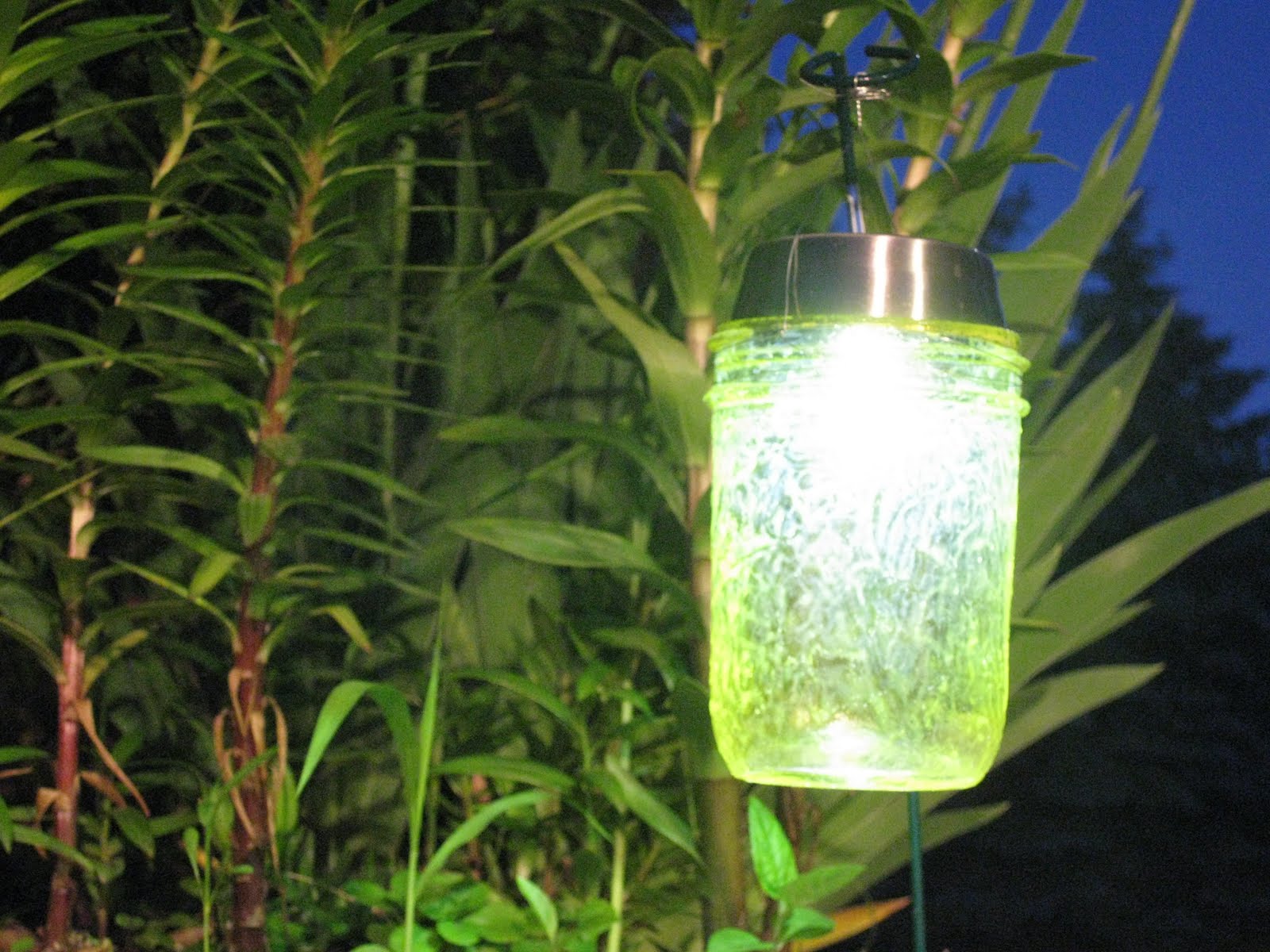Solar Light 009