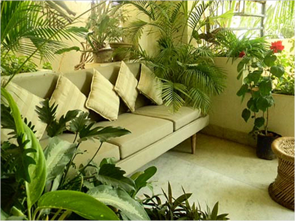 Meditation Room Decorating Space area and potted plant