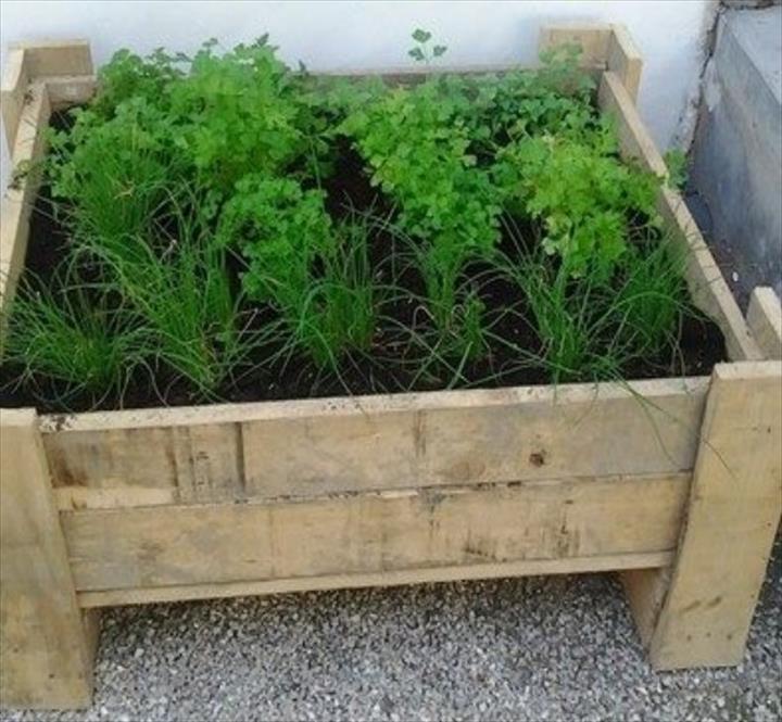 pallet-planter