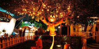Outdoor Halloween Decorations Silly Pumpkins form