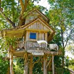 cool kids tree houses