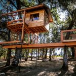 kids tree houses ideas
