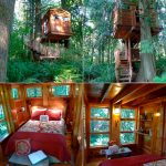 amazing kids tree houses