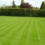 simple grass cutting