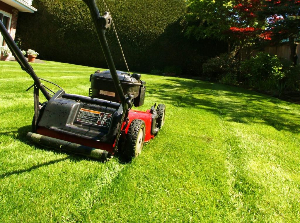 grass cutting tips