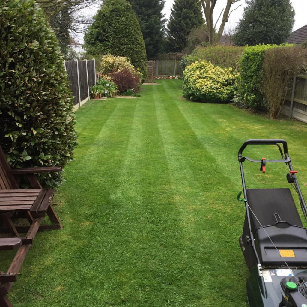 grass cutting tips