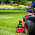 simple grass cutting