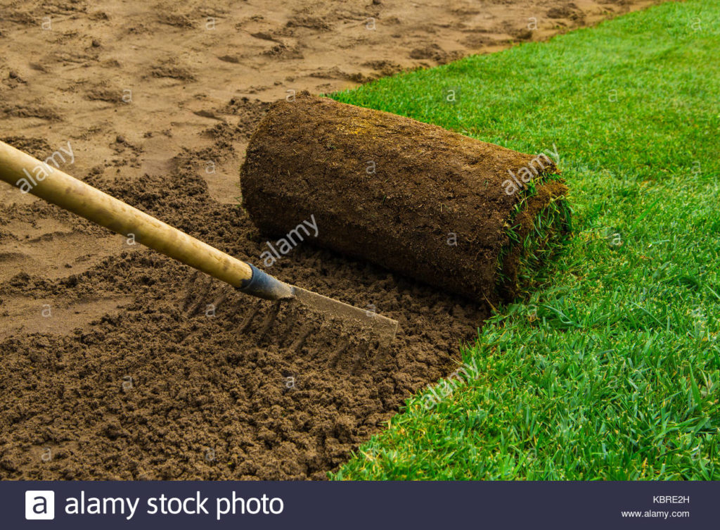 grass cutting tips