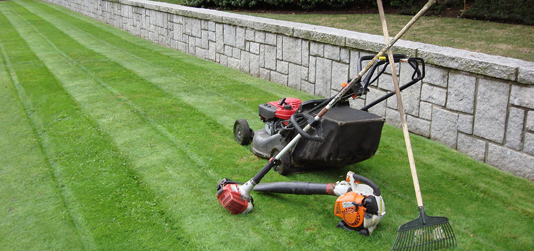 Tips for Grass Cutting & Lawn Care Decor Or Design
