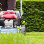 nice grass cutting