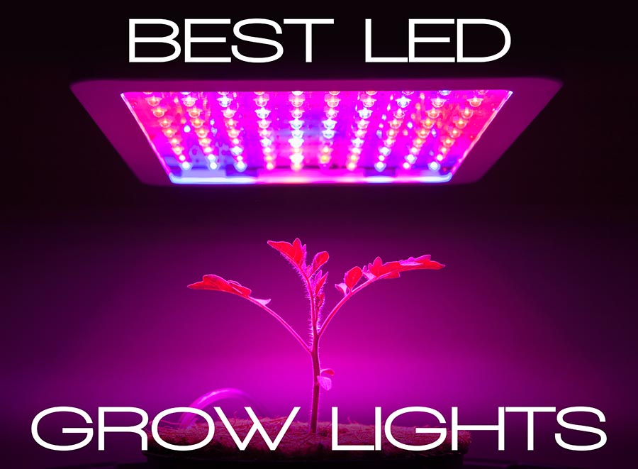 Led Grow Lights: Every Thing you should know Led Grow Lights: Every Thing you should know